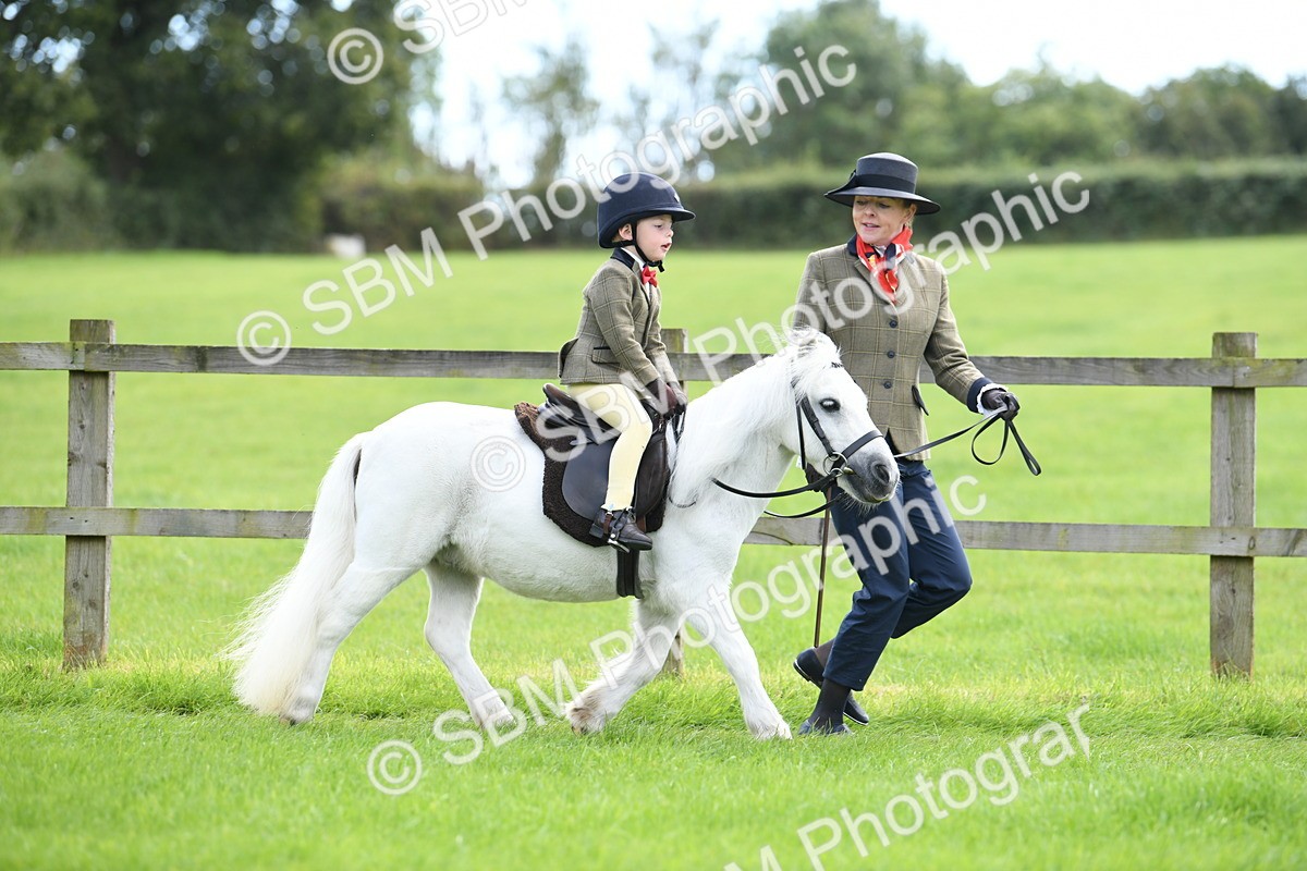 SBM_42438 - S20 - Lead Rein Mountain & Moorland Pony