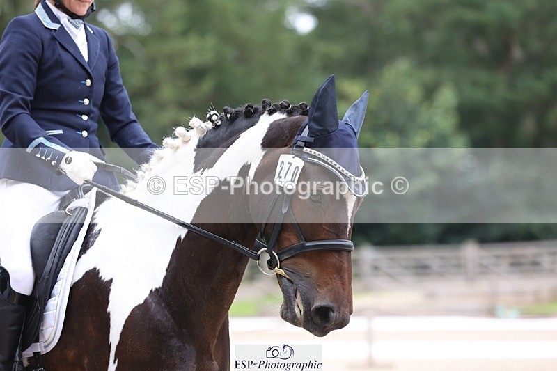 230813-121108-07045 - Cls 11 Elem Bronze 11.10 to 12.20 break