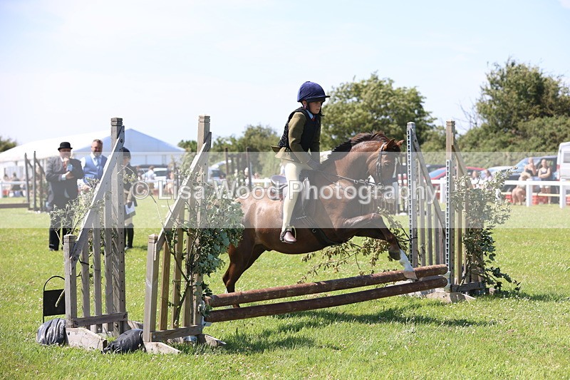 JPP_2229 - Class 20: Tiny Tots Working Hunter Pony