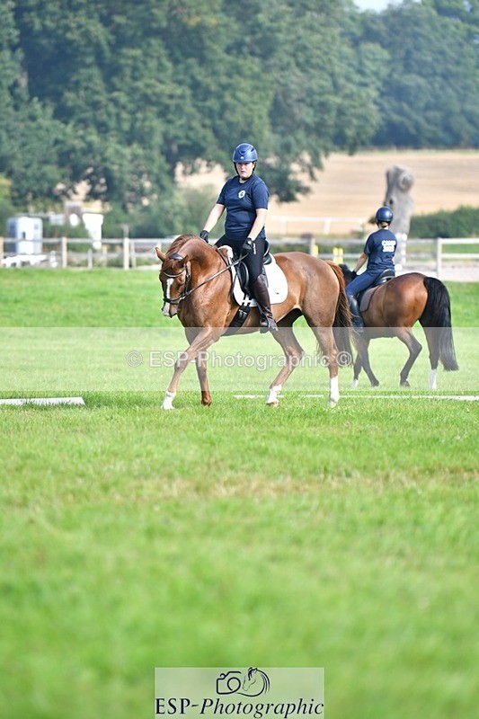230817-092942-02562 - Abbie's 1st Group - Dressage