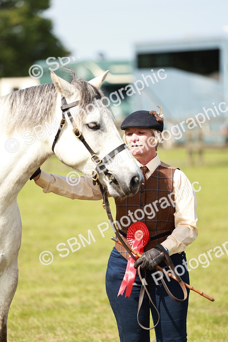 SBM_01683 - Class 14-23 - Mountain & Moorland In Hand Non Welsh