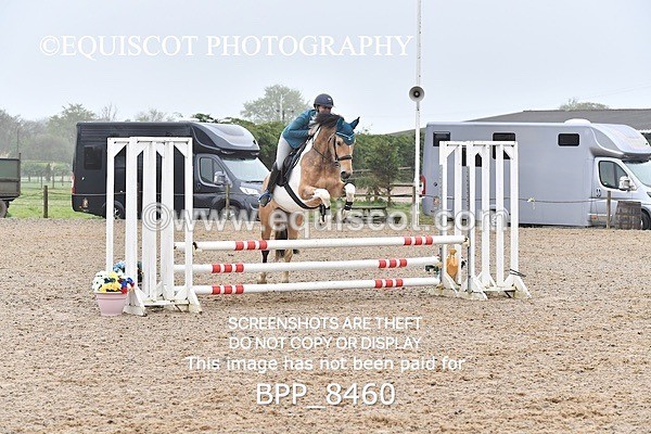 BPP_8460 - CLASS 22 SUN Club/ Unaffiliated 80cms Open