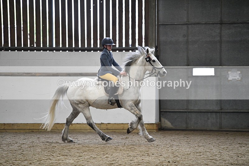 WJ5_7922 - Class 13 Ridden Part Breed