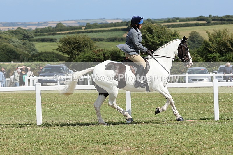 JPP_2298 - Class 19: Working Hunter 60cm