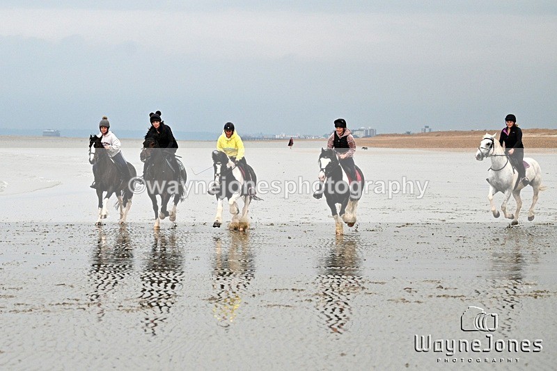 WJ7_9108 - Hayling Island Beach Shoot 22-09-24