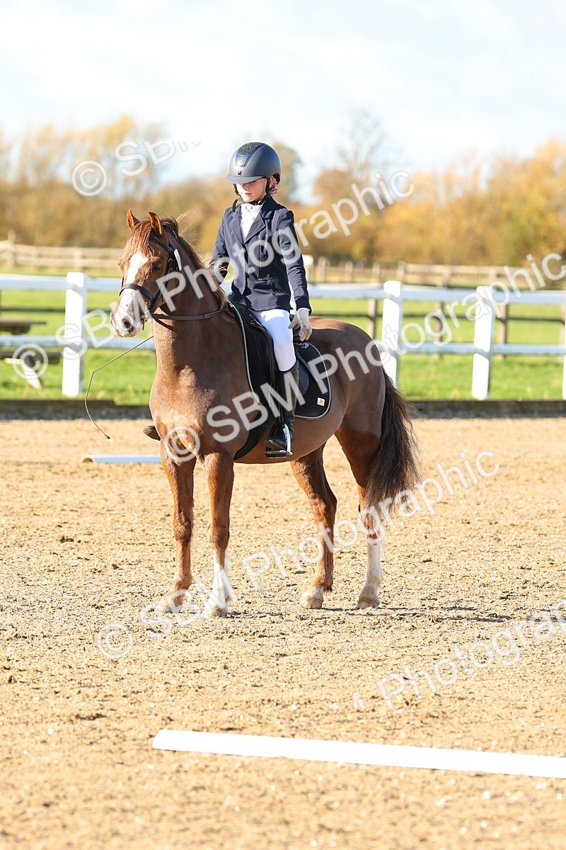 SBM_000255 - Prelim 5