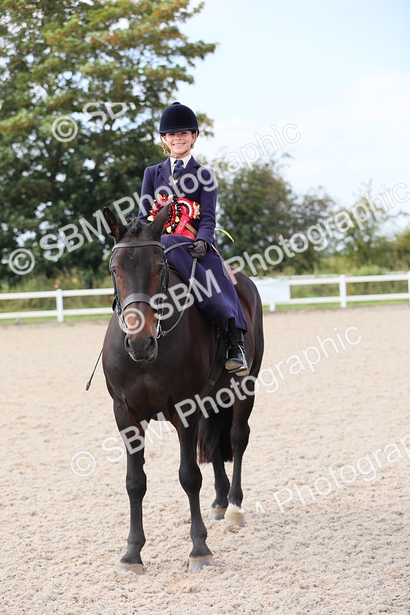 SBM_14599 - Class 211 Best Side Saddle Horse/Pony