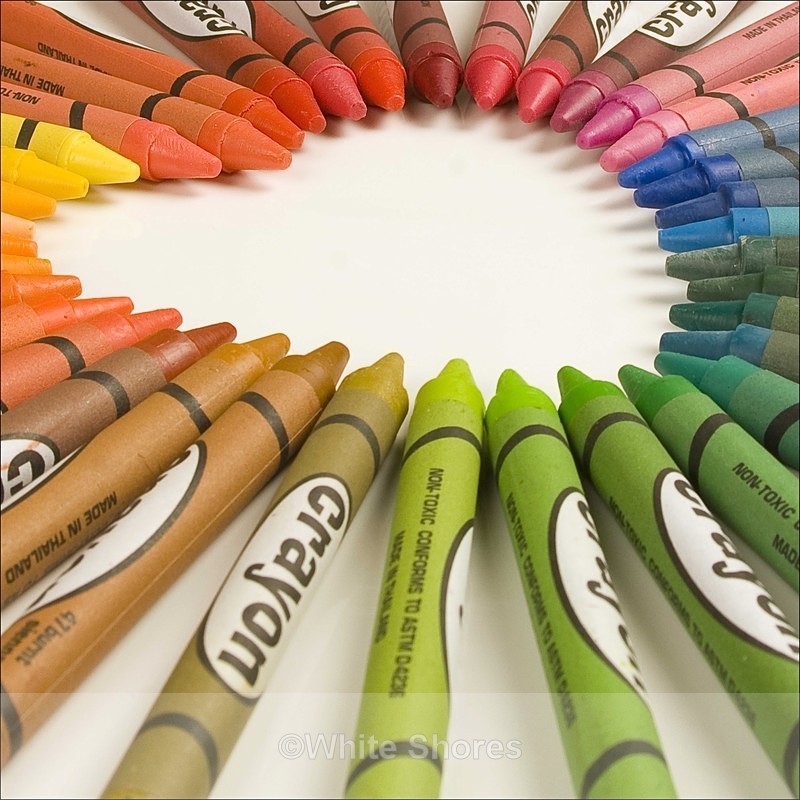  - Product Photography