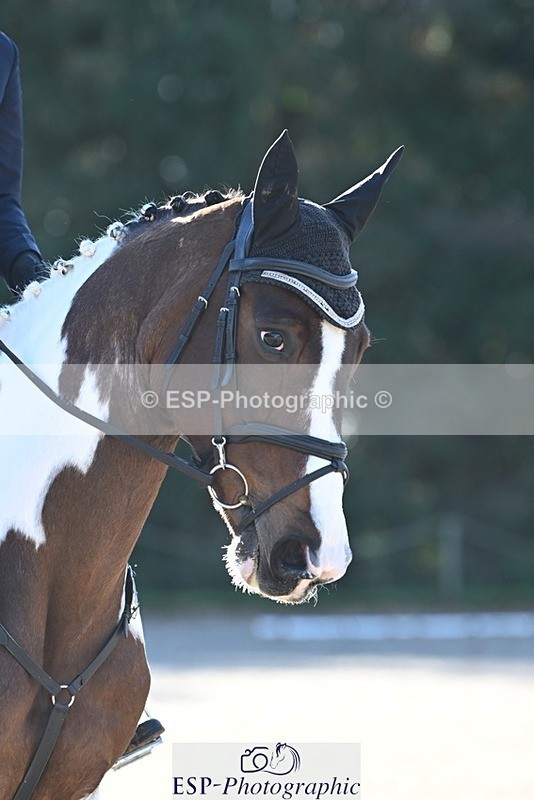 231110-114314-00502 - Cls 3 Novice 22