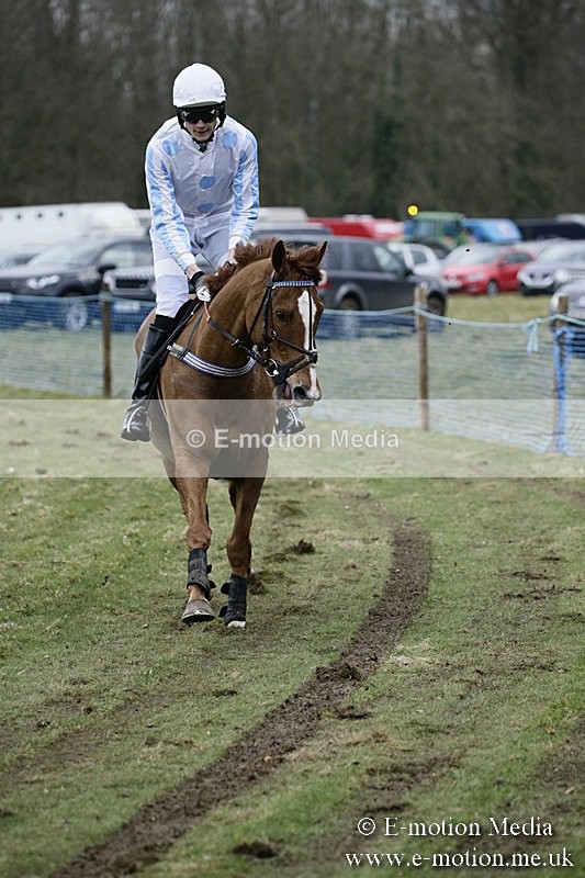 PtP 110318 522 - Hampshire Hunt Point-to-Point Hackwood Park 11/03/18