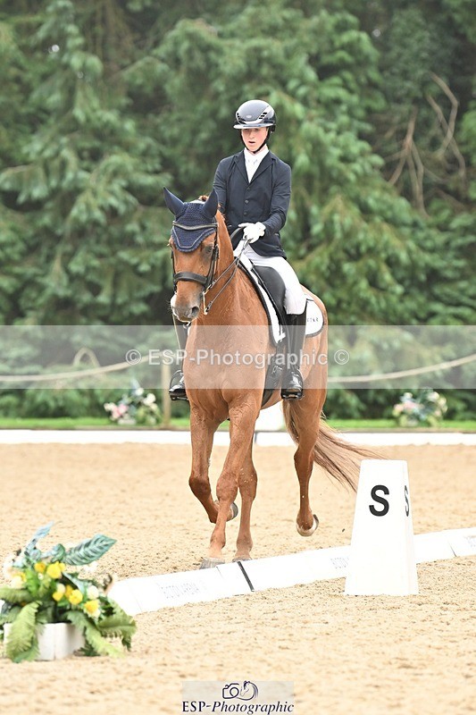 240811-113439-05209 - 208-Tom.Carter-Rubin.Regal