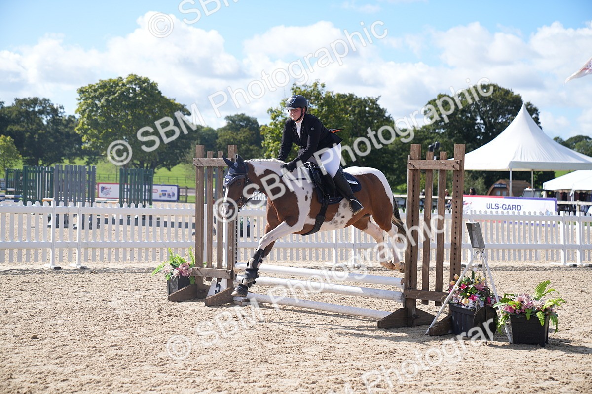 SBM_02531 - J54 Clear Round 45cm