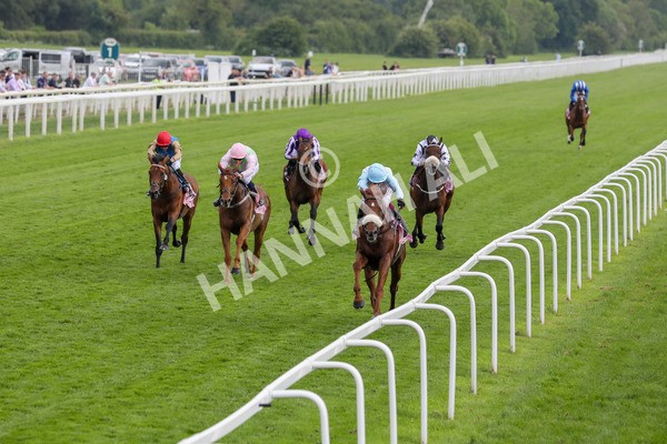 170524-Race 4-Giavellotto-2195 - Race 4 3.45pm Boodles Yorkshire Cup Stakes