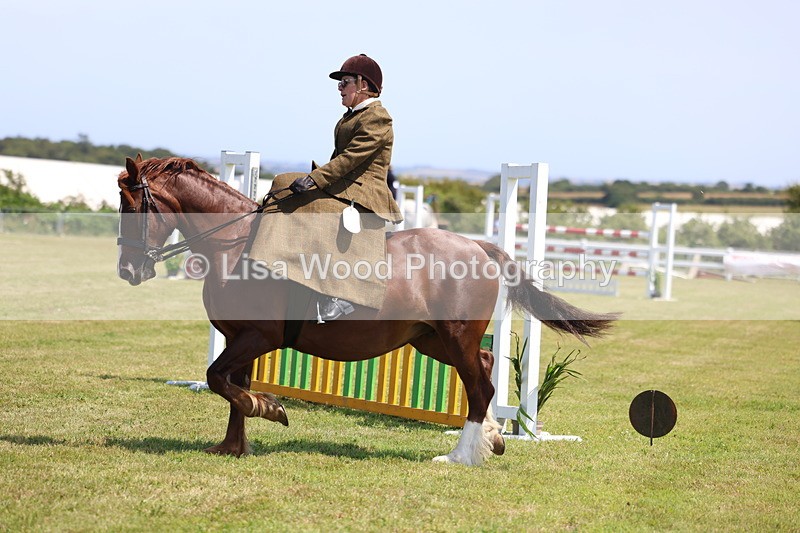3E7A9650 - Class 13: Side Saddle