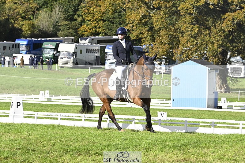 251023A-151017-04540 - E-386-Zara.Head