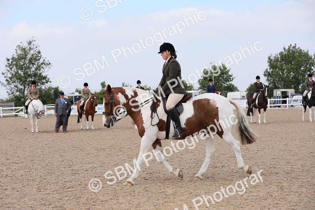 SBM_13393 - Class 308 Ridden Coloured Horse