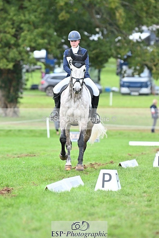 231020-155049-11585 - 689-SHANNONDALE.GOLD.RUSH-Eliza.Bradford-DR