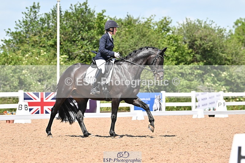 240621A-125120-02261 - Cls 7 BD Elementary 45