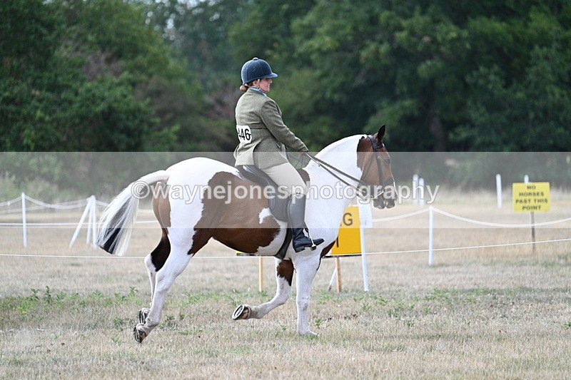 WJ7_7192 - Class 14 Ridden Coloured