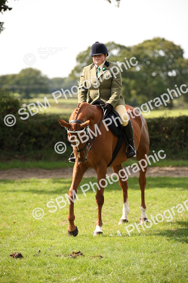 SBM_65991 - S64 - Riding Horse & Hack & Thoroughbred Ridden