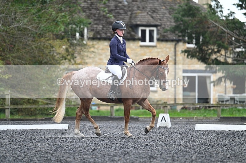 WJ7_3705 - Time 11:04 to 11:38