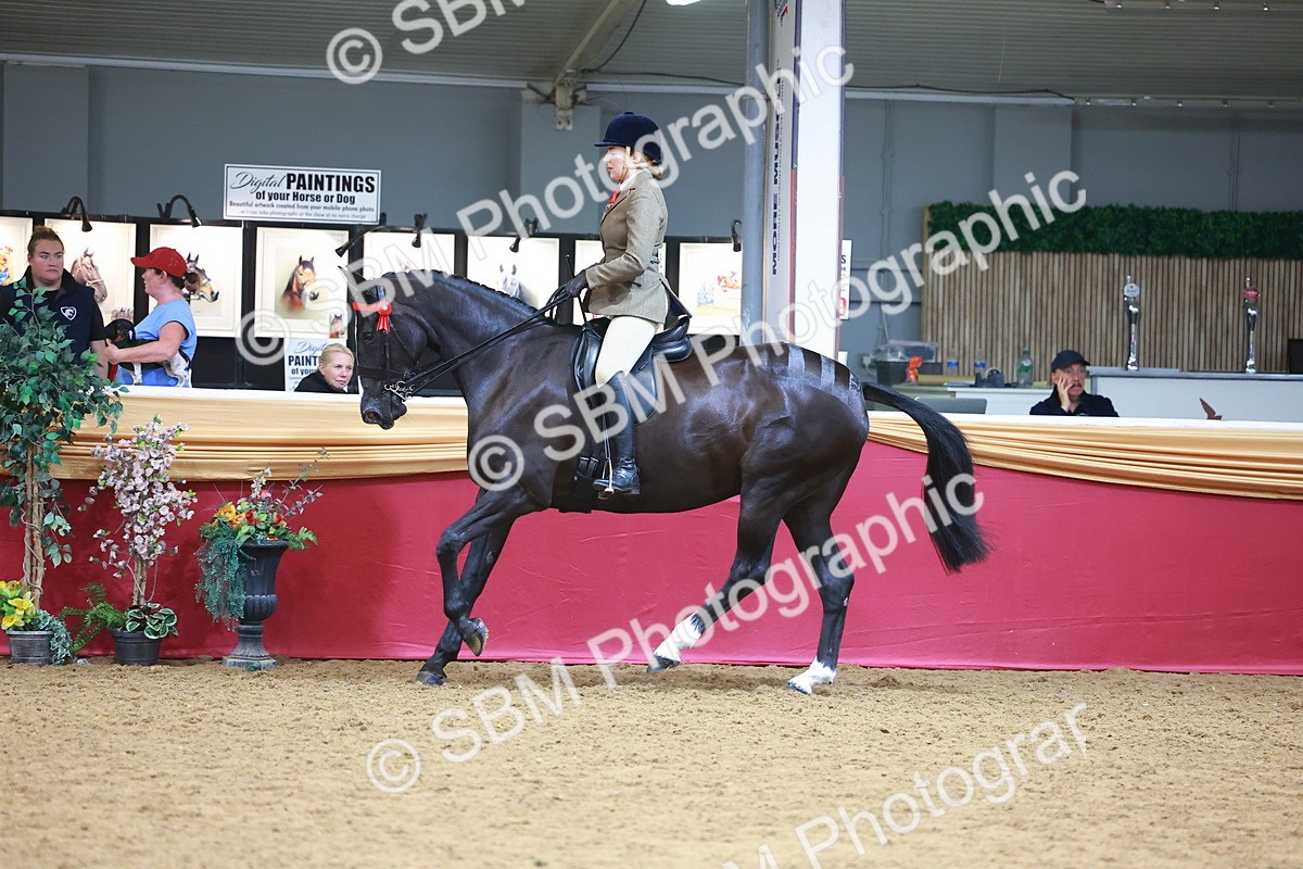 SBM_06293 - Class 12R - Ridden Pre-Vet