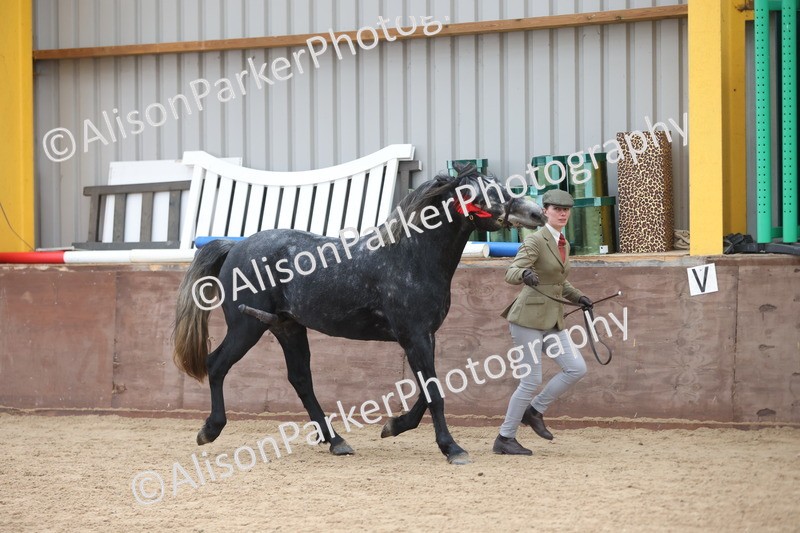 20251109-1125 - Championship