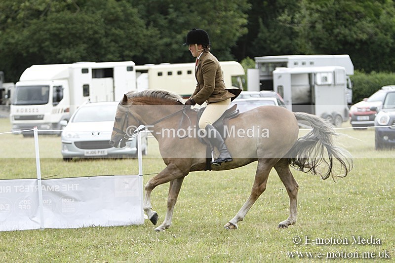 BVR160717-412 - Ring 3 BVRC Show 16/07/17