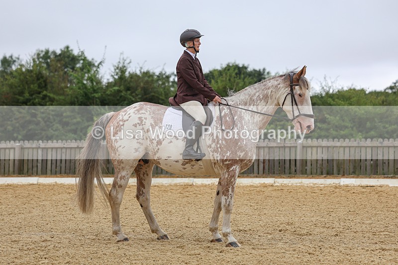 3E7A5030 - Class 2: Intro 4 2024 section B