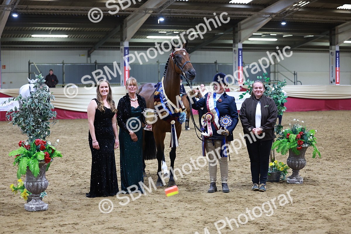 SBM_20351 - Class E - Best Turned Out Champ