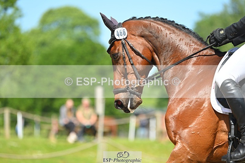 230526-111618-05731 - 466-BAMBINO_DE_L'ILATTE-Paolo_Torlonia-DR