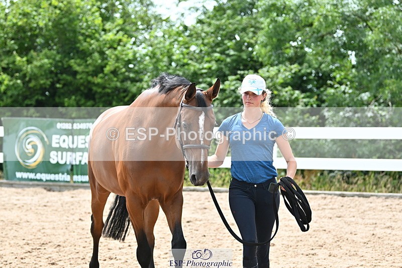 240717A-142859-02085 - Trot Up 2pm to 3pm - This folder is not in time order