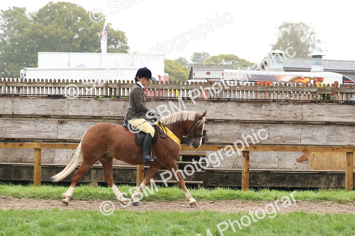 SBM_73107 - Ridden Pony Supreme Championship