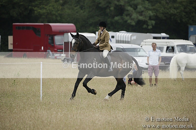 B230619-0323 - Bourne Valley Riding Club Summer Show 23/06/19