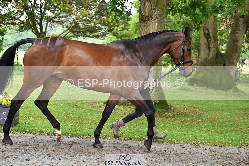 240522-171636-01500 - 257-COUGAR_MAIL-Jeanette_Brakewell