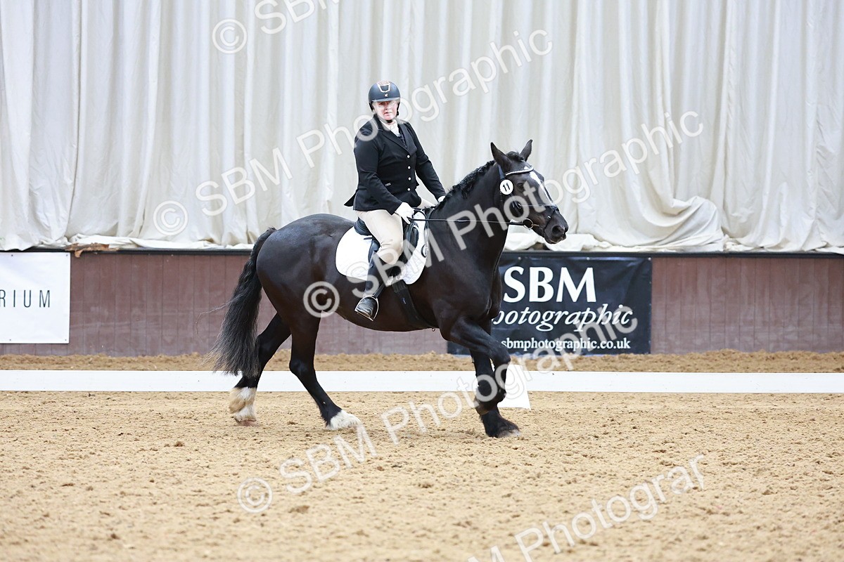 SBM_006739