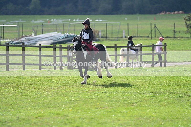 WJ7_3701 - 40cm Time 10:26 to 10:42