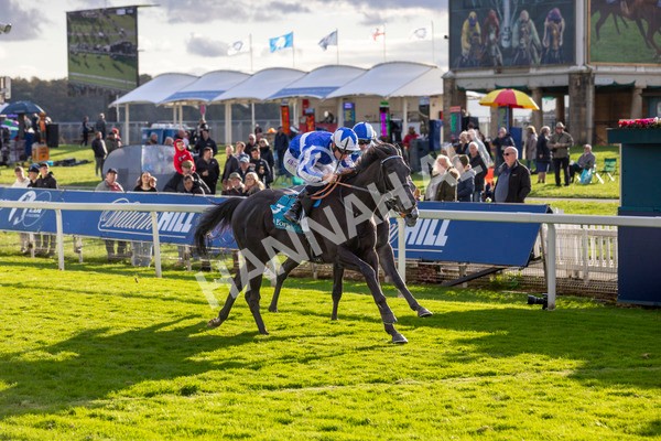 111024-Race 6-Fondo Blanco-7007 - Race 6 4.20pm William Hill EBF Novice Stakes
