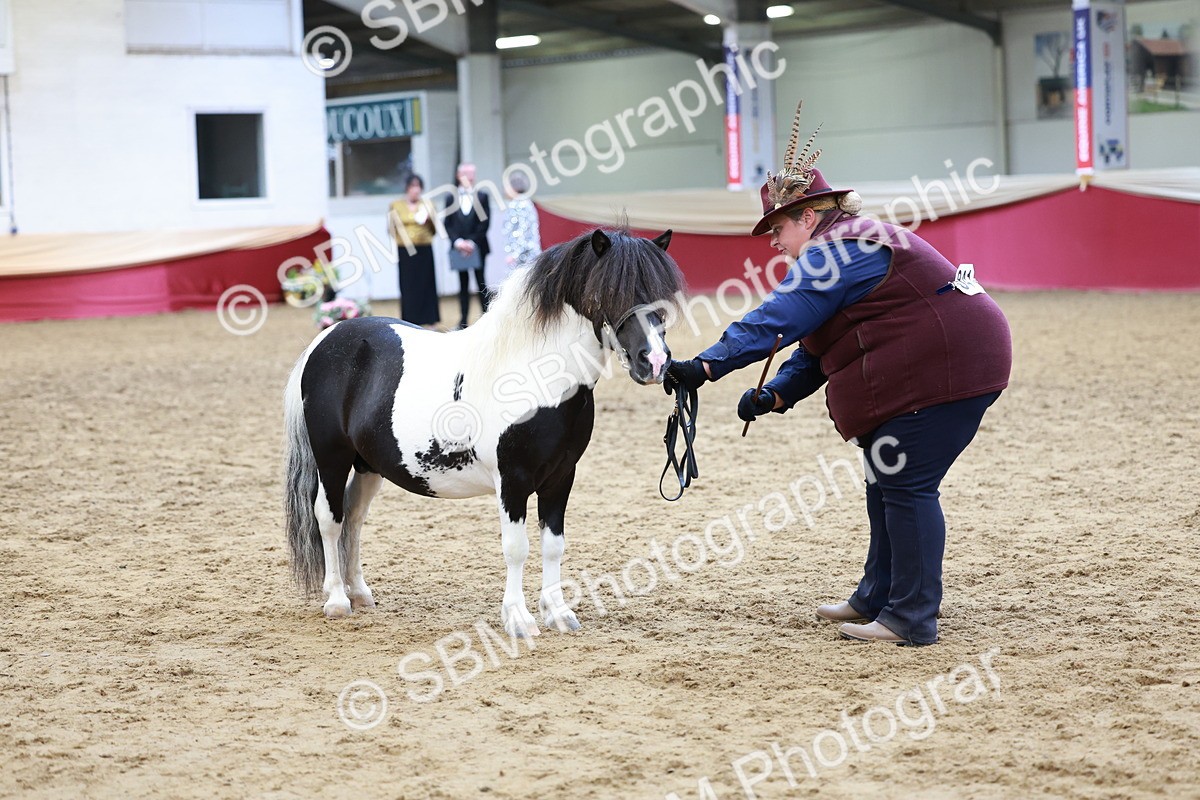 SBM_17332 - Class 951 - M&M IH Supreme Final