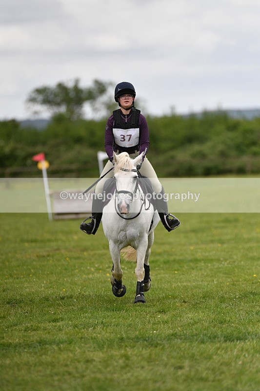 WJ5_3587 - Class 6 80cm