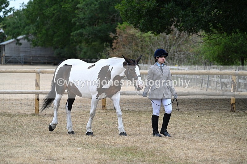 WJ7_8680 - Class 4a Prettiest Mare 14.2hh and over