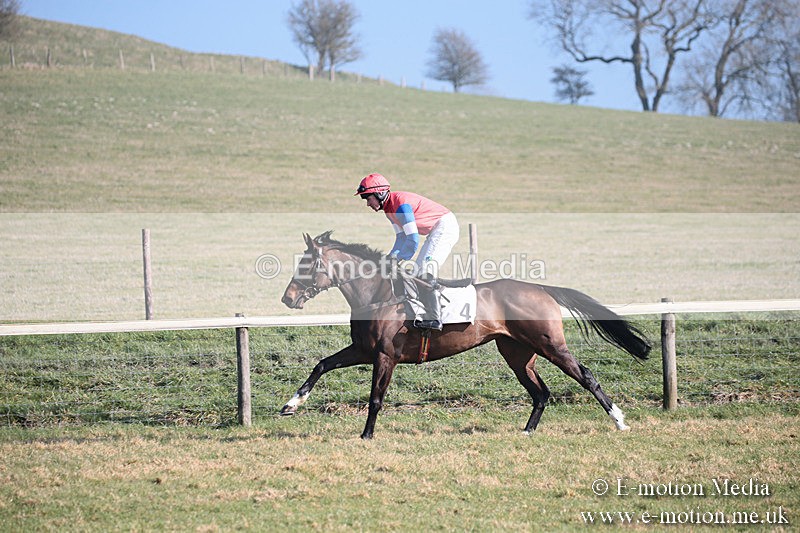 PtP 230219 146 - Vine & Craven Point-To-Point - Barbury 23/02/19