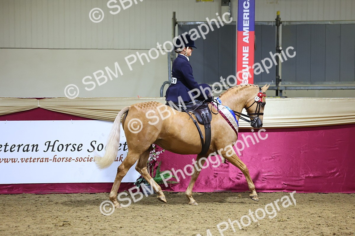 0B8A4257 - Class L Side Saddle Champ
