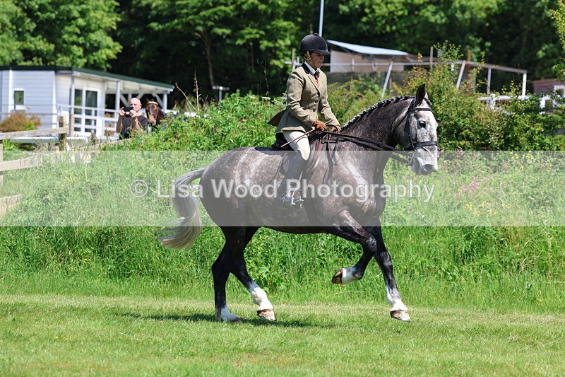 3E7A8253 - Class 13: Ridden Hunter