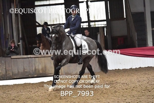 BPP_7993 - ELEM TEST 6