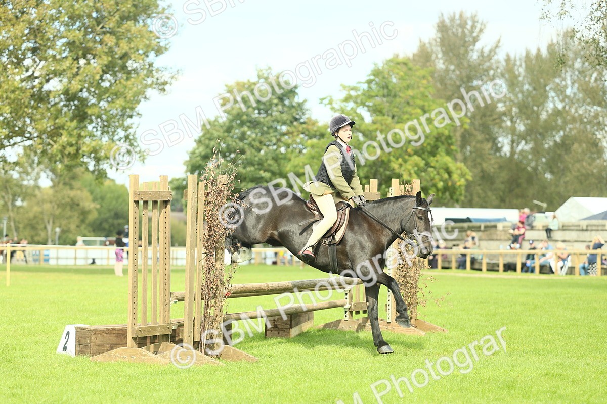 SBM_44735 - S31 - Working Hunter Pony