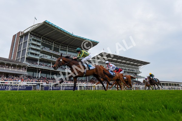 180523-Race 7-Chesspiece-4324 - Race 7 5.20pm Collective Green Energy Handicap