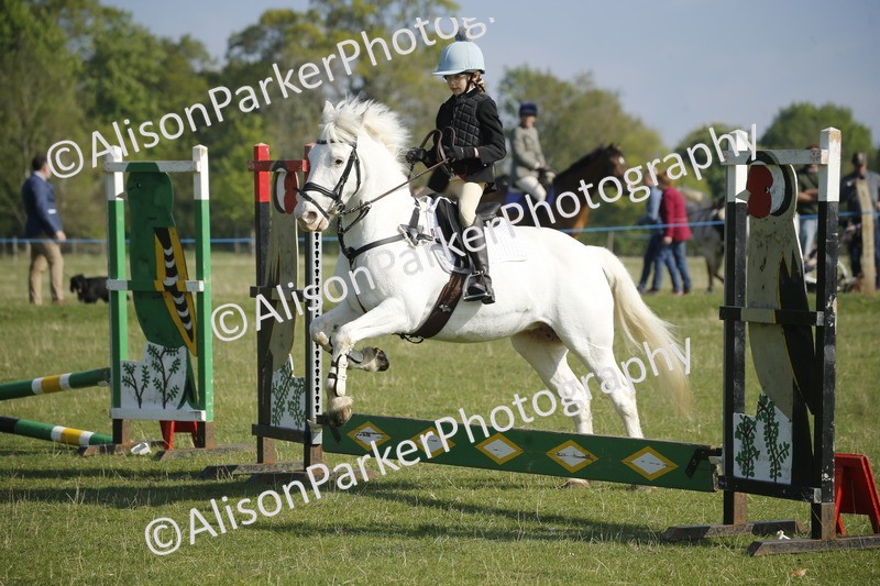 20250427-0261 - Class 12 - Rookie Jumping 40cm