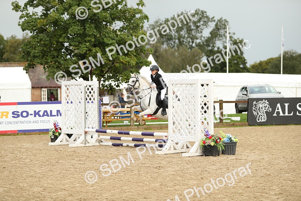 SBM_34209 - J60 Clear Round 50cm