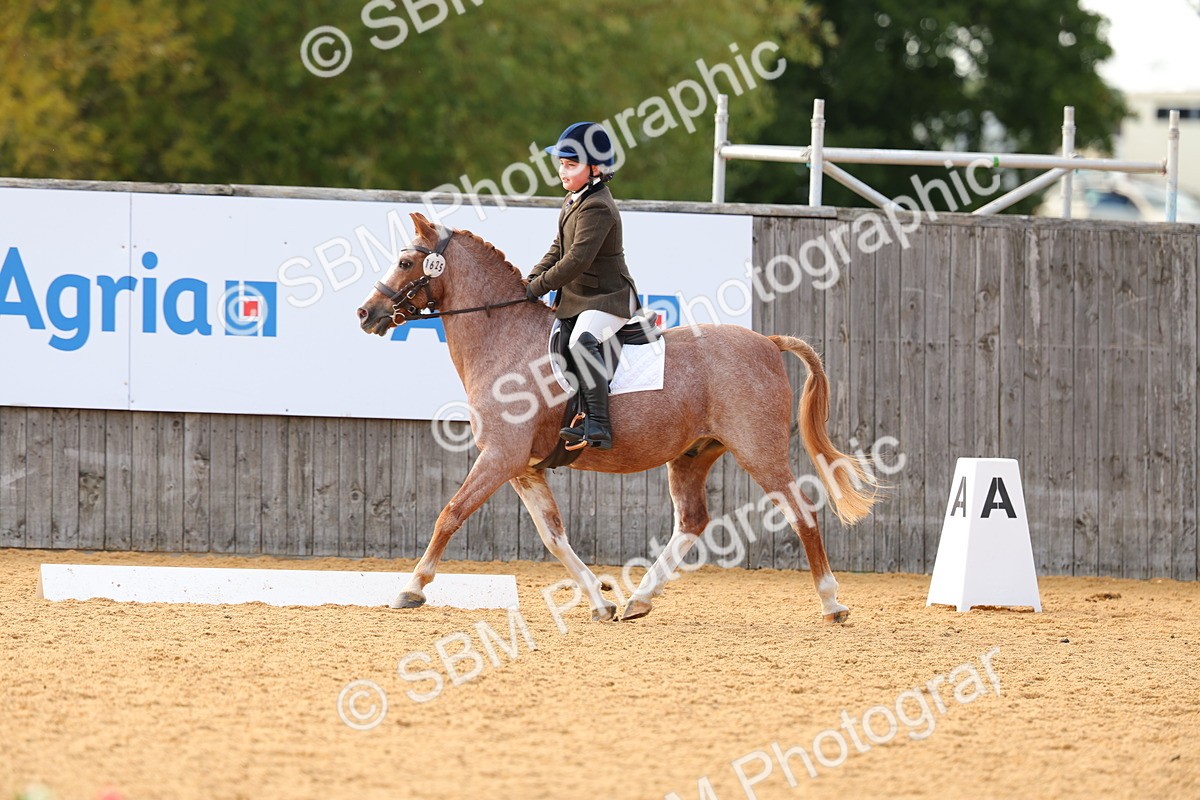 SBM_49742 - D24 - Junior Championship - Prelim 1